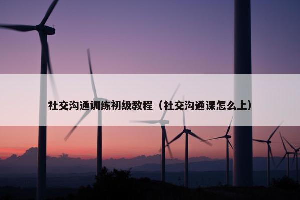 社交沟通训练初级教程（社交沟通课怎么上）