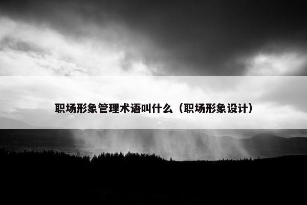 职场形象管理术语叫什么（职场形象设计）