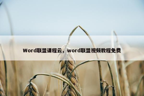 Word联盟课程云，word联盟视频教程免费