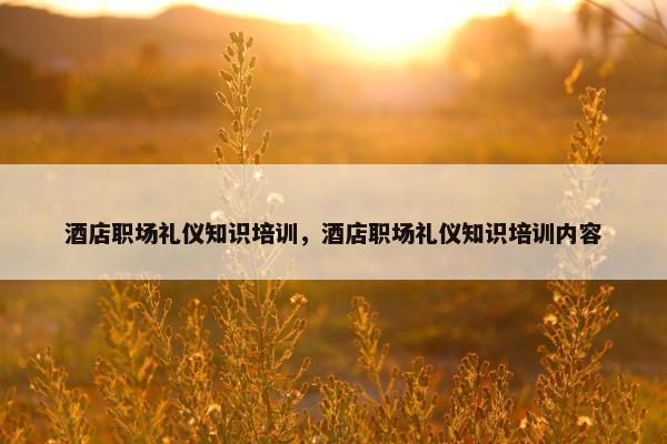 酒店职场礼仪知识培训，酒店职场礼仪知识培训内容