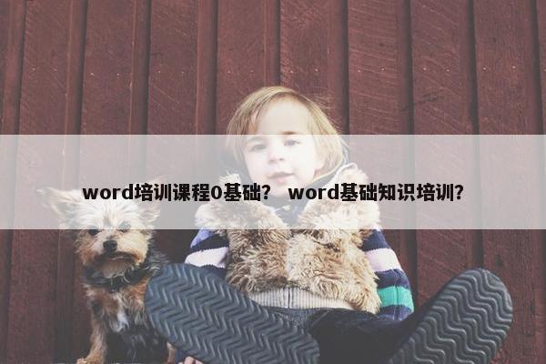 word培训课程0基础？ word基础知识培训？