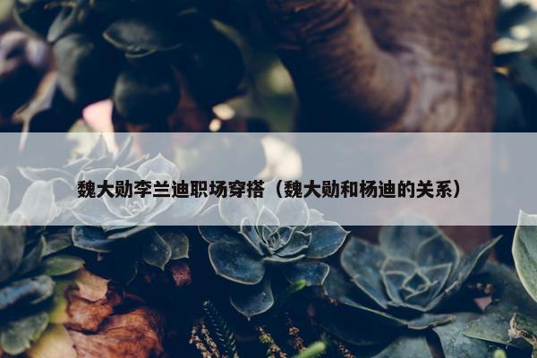 魏大勋李兰迪职场穿搭（魏大勋和杨迪的关系）