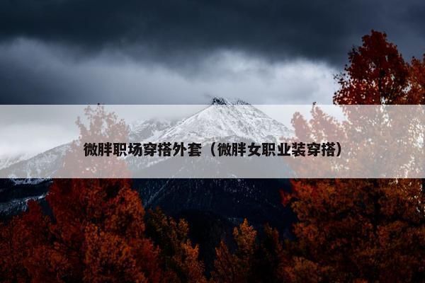 微胖职场穿搭外套（微胖女职业装穿搭）