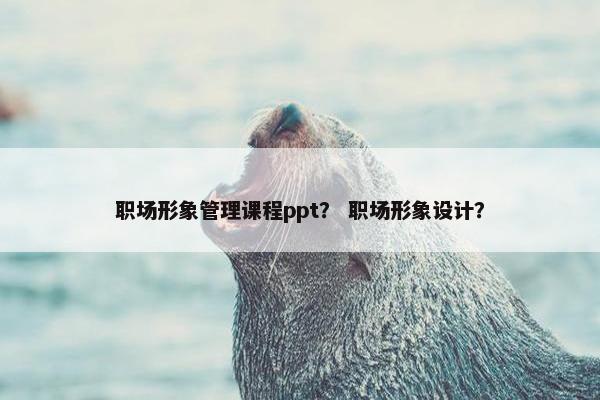 职场形象管理课程ppt？ 职场形象设计？