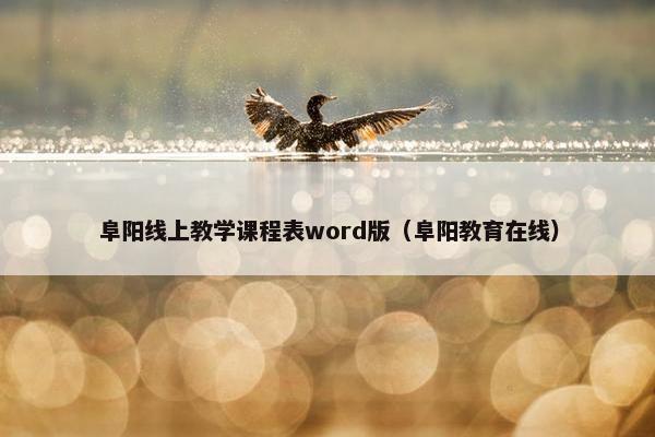 阜阳线上教学课程表word版（阜阳教育在线）