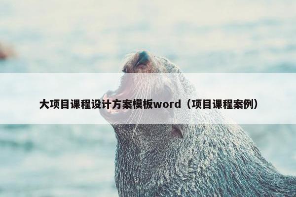 大项目课程设计方案模板word（项目课程案例）