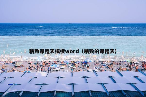精致课程表模板word（精致的课程表）