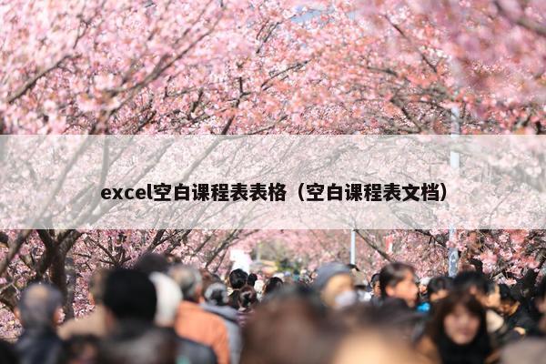 excel空白课程表表格（空白课程表文档）