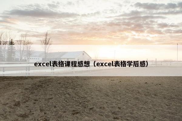 excel表格课程感想（excel表格学后感）