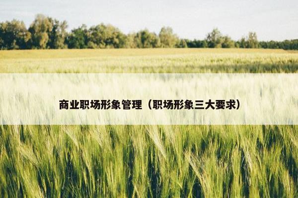 商业职场形象管理（职场形象三大要求）