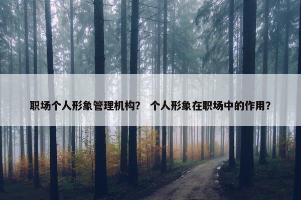 职场个人形象管理机构？ 个人形象在职场中的作用？