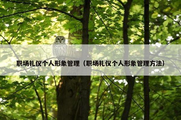 职场礼仪个人形象管理（职场礼仪个人形象管理方法）