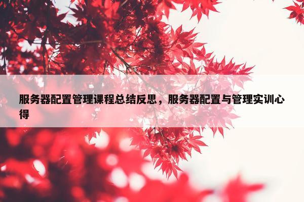 服务器配置管理课程总结反思，服务器配置与管理实训心得