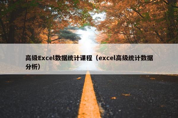 高级Excel数据统计课程（excel高级统计数据分析）