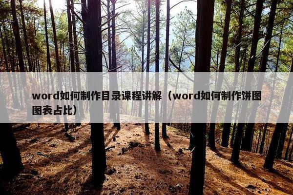 word如何制作目录课程讲解（word如何制作饼图图表占比）