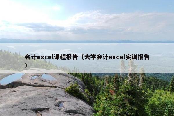 会计excel课程报告（大学会计excel实训报告）