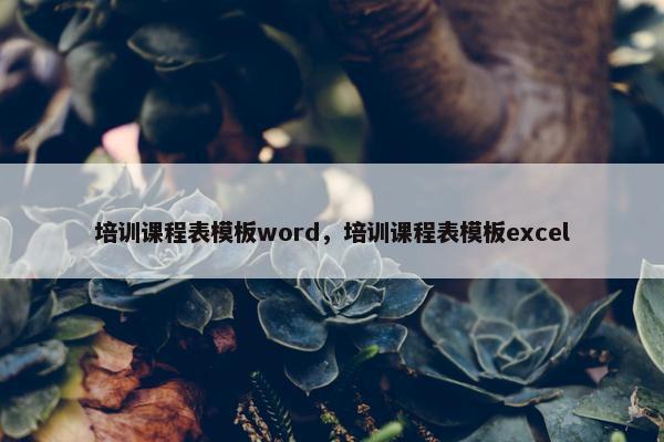 培训课程表模板word，培训课程表模板excel