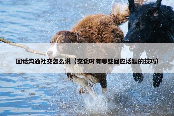 回话沟通社交怎么说（交谈时有哪些回应话题的技巧）