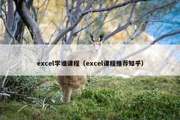excel学谁课程（excel课程推荐知乎）
