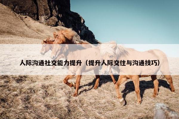 人际沟通社交能力提升（提升人际交往与沟通技巧）