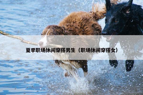 夏季职场休闲穿搭男生（职场休闲穿搭女）