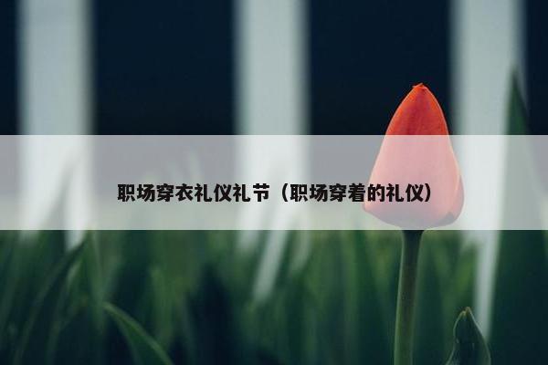 职场穿衣礼仪礼节（职场穿着的礼仪）