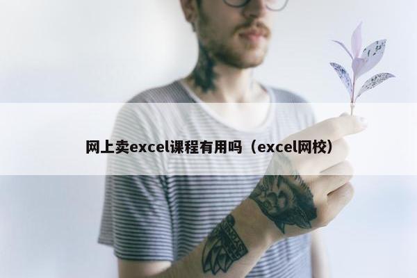 网上卖excel课程有用吗（excel网校）