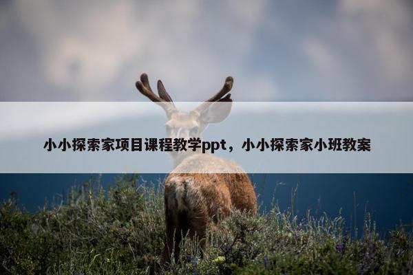 小小探索家项目课程教学ppt，小小探索家小班教案