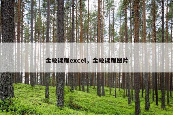 金融课程excel，金融课程图片