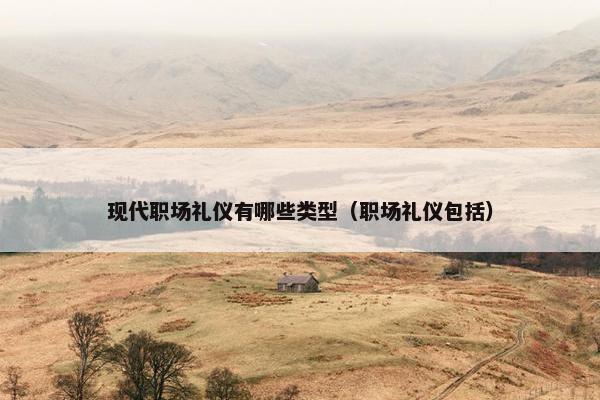 现代职场礼仪有哪些类型（职场礼仪包括）