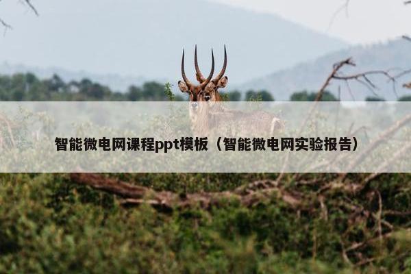 智能微电网课程ppt模板（智能微电网实验报告）