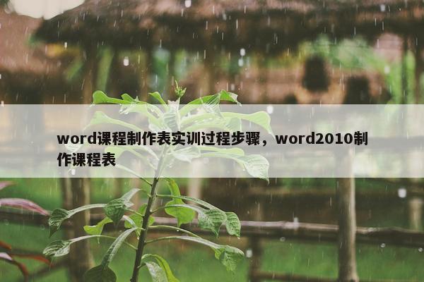 word课程制作表实训过程步骤，word2010制作课程表
