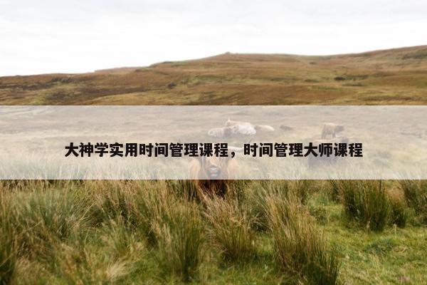 大神学实用时间管理课程，时间管理大师课程