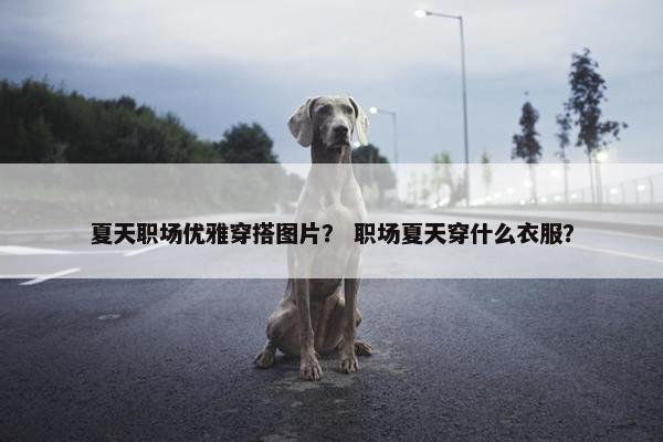 夏天职场优雅穿搭图片？ 职场夏天穿什么衣服？