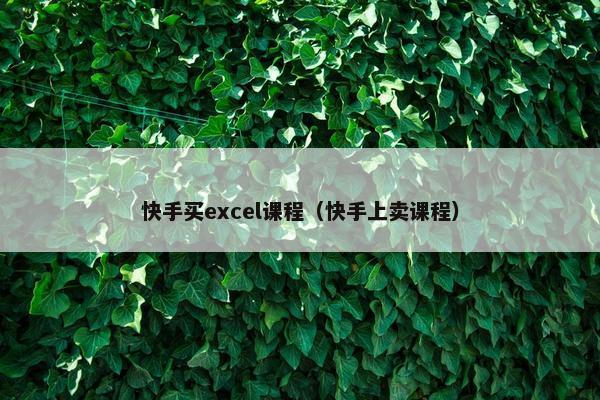 快手买excel课程（快手上卖课程）