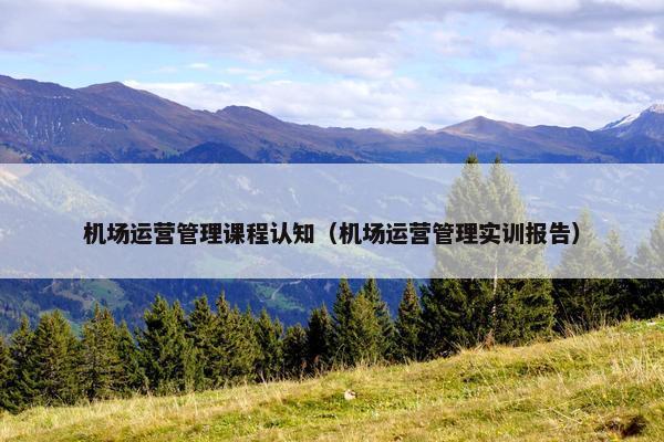 机场运营管理课程认知（机场运营管理实训报告）