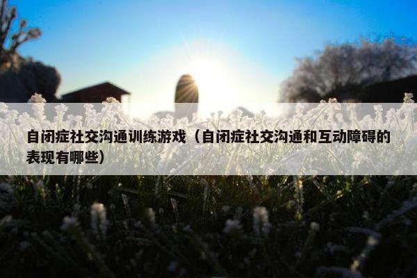 自闭症社交沟通训练游戏（自闭症社交沟通和互动障碍的表现有哪些）