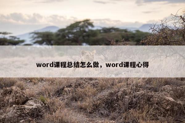 word课程总结怎么做，word课程心得