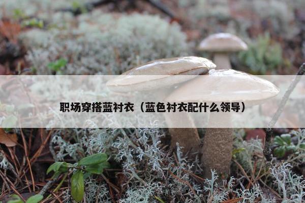 职场穿搭蓝衬衣（蓝色衬衣配什么领导）