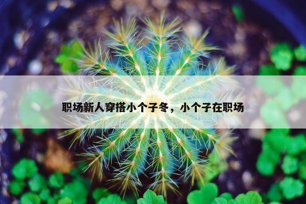 职场新人穿搭小个子冬，小个子在职场