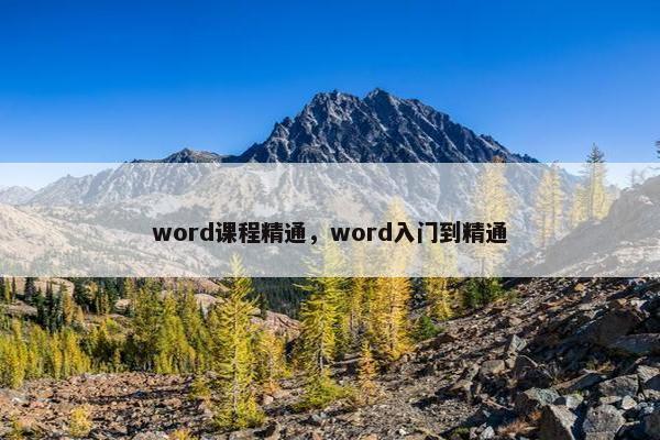 word课程精通，word入门到精通