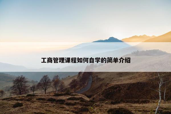工商管理课程如何自学的简单介绍