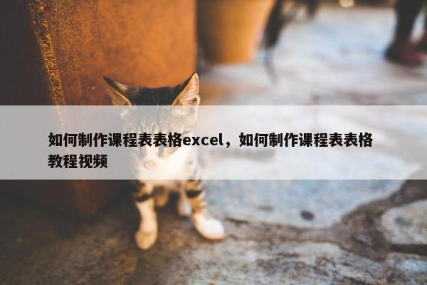 如何制作课程表表格excel，如何制作课程表表格 教程视频