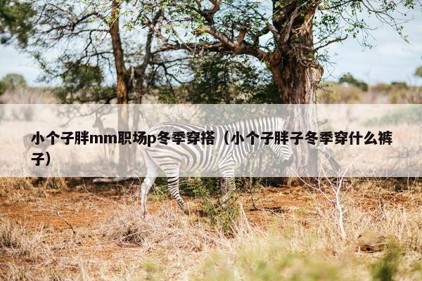 小个子胖mm职场p冬季穿搭（小个子胖子冬季穿什么裤子）