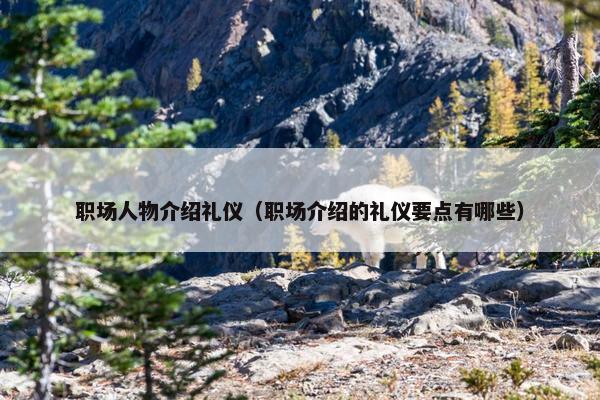 职场人物介绍礼仪（职场介绍的礼仪要点有哪些）
