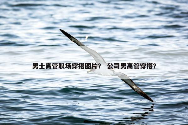 男士高管职场穿搭图片？ 公司男高管穿搭？