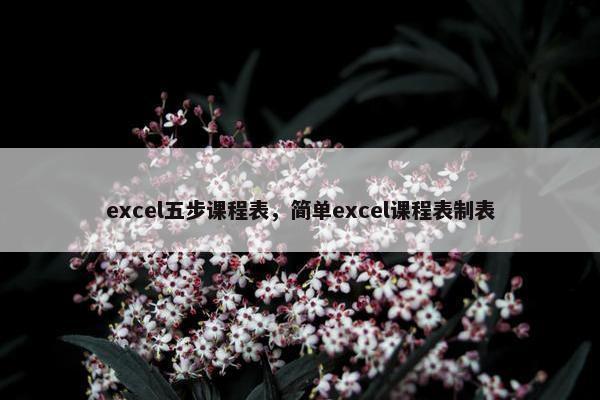excel五步课程表，简单excel课程表制表