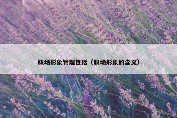 职场形象管理包括（职场形象的含义）