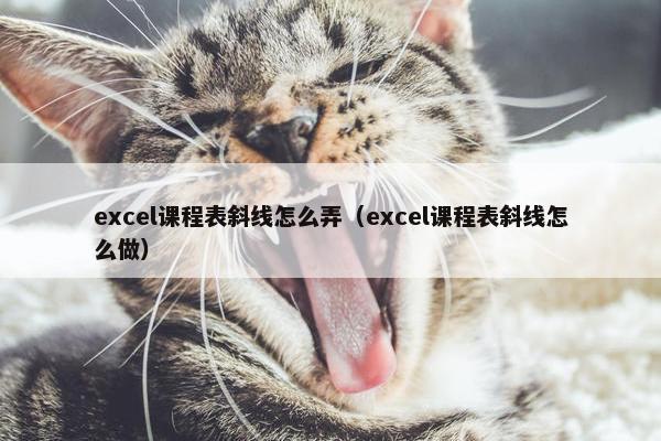 excel课程表斜线怎么弄（excel课程表斜线怎么做）
