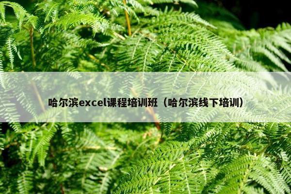哈尔滨excel课程培训班（哈尔滨线下培训）